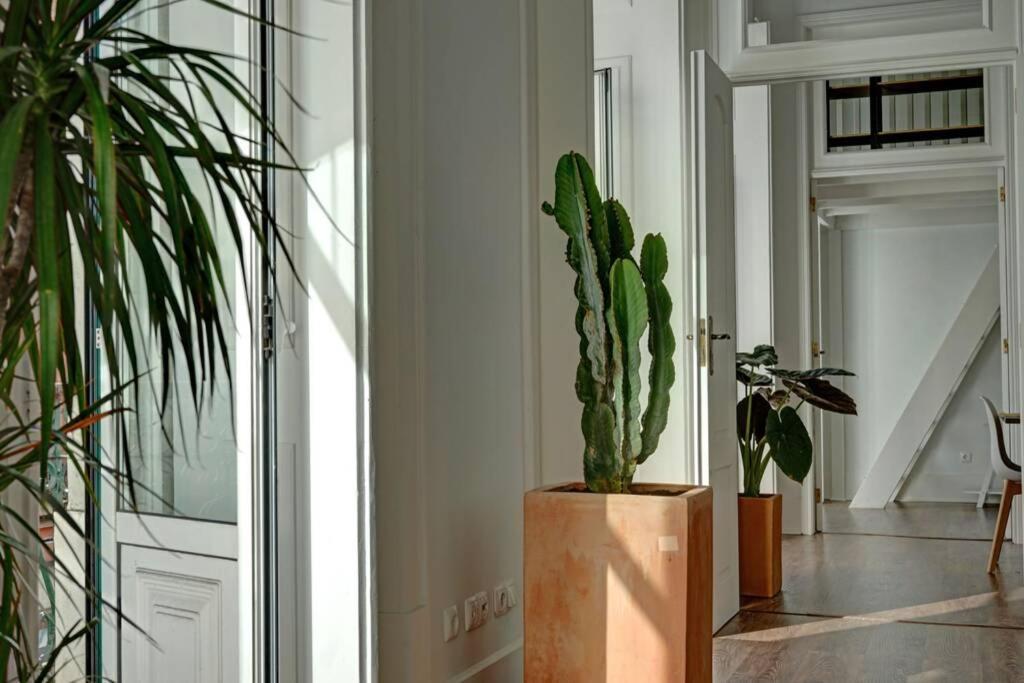 Unique Sao Bento Apartment Ideal For A Group Lissabon Exterior foto